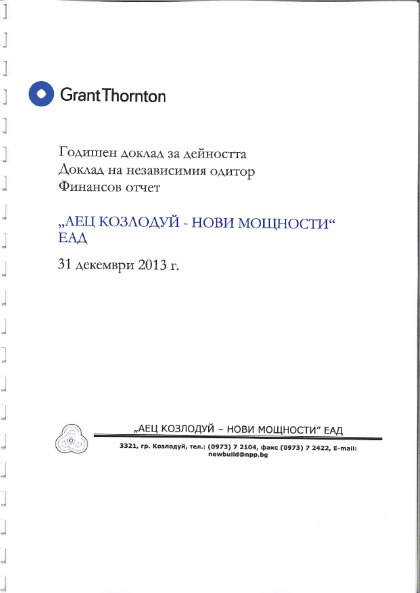 Годишен отчет за 2013 г.